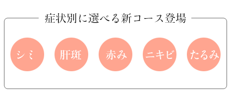 症状別に選べるフォトフェイシャル 新コース登場