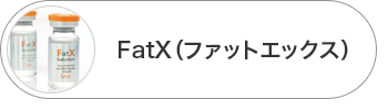 FatX(ファットエックス)