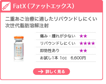 FatX(ファットエックス)