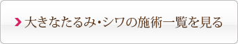 大きなたるみ・シワの施術一覧を見る