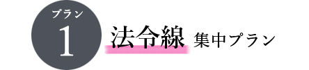 法令線 集中プラン