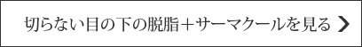 切らない目の下の脱脂＋サーマクールを見る