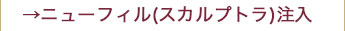 ニューフィル(スカルプトラ)注入