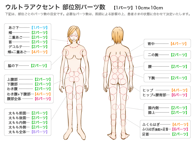 ウルトラアクセント　部位別パーツ数