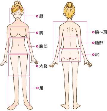 脂肪吸引対象部位