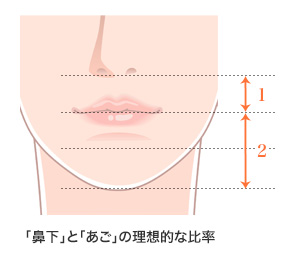 「鼻下」と「あご」の理想的な比率