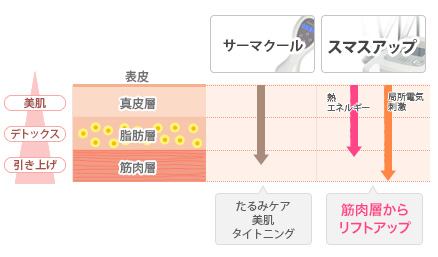 スマスアップとサーマクールの相乗効果