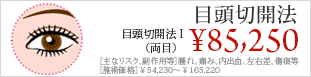 目頭切開法 I・II