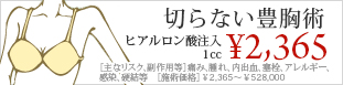 切らない豊胸術