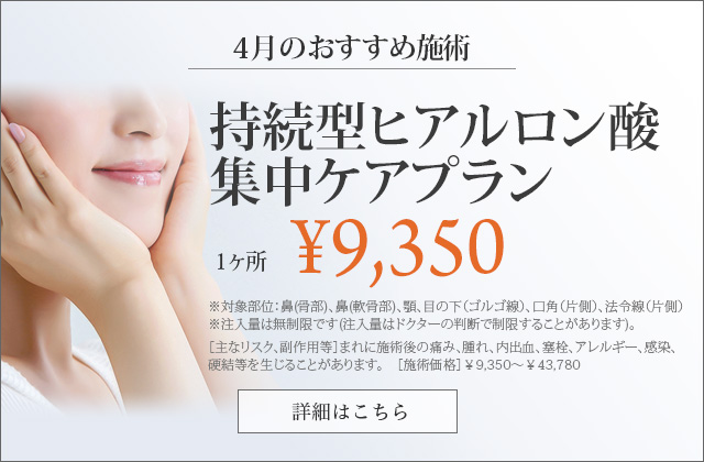 持続型ヒアルロン酸集中ケアプラン