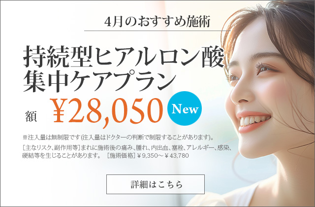 持続型ヒアルロン酸集中ケアプラン